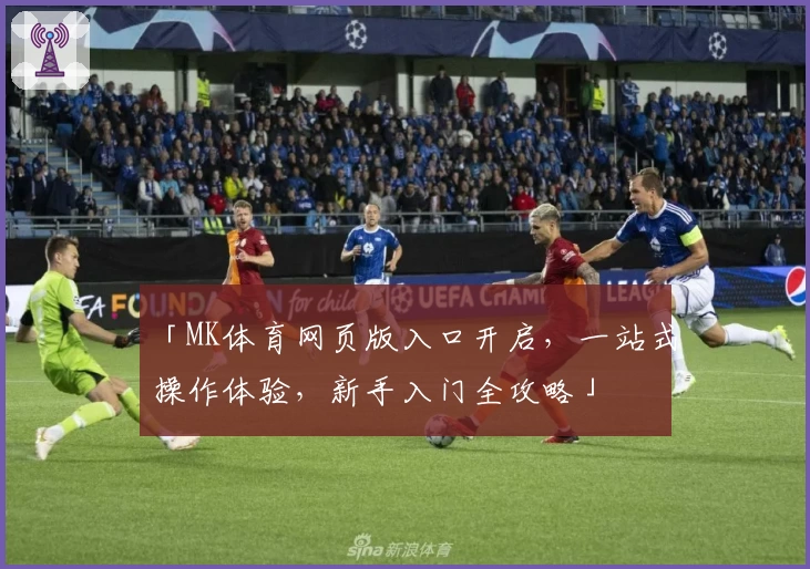 「MK体育网页版入口开启，一站式操作体验，新手入门全攻略」