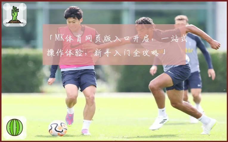 「MK体育网页版入口开启，一站式操作体验，新手入门全攻略」